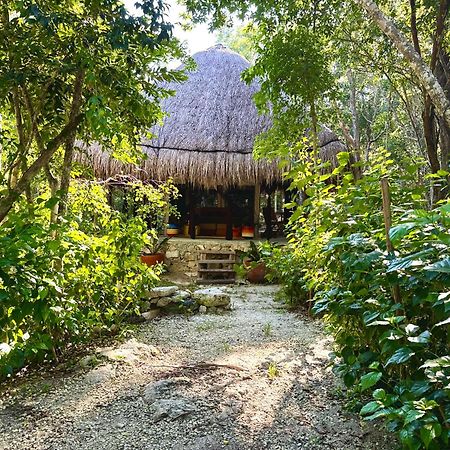 Glamping Bunga Lotus Ξενοδοχείο Τουλούμ Εξωτερικό φωτογραφία
